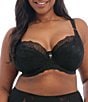 Color:Black - Image 1 - Brianna Padded Half Cup Scallop Lace Overlay Push-Up Bra