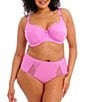 Color:Very Pink - Image 3 - Brianna Padded Half Cup Scallop Lace Overlay Push-Up Bra