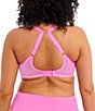 Color:Very Pink - Image 4 - Brianna Padded Half Cup Scallop Lace Overlay Push-Up Bra