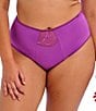 Color:Dahlia - Image 1 - Cate Full-Brief High Rise Sheer Embroidered Panty