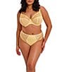 Elomi Charley High Leg Brief Panty, Color:Lemon Fizz - Image 4