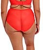 Elomi Charly Full Brief Panty, Color:Salsa - Image 2