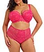 Elomi Darcie Stretch Lace Brief Panty - Image 4