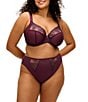Elomi Reja High-Cut Brief Panty - Image 4