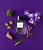 Essential Parfums Velvet Iris Eau de Parfum - Image 2