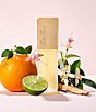 Estee Lauder undefined, 20036568__01_ai - undefined