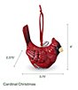 Fitz and Floyd Dated 2026 Cardinal Photo Card Ornament - Image 3