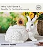 Fitz and Floyd Sunflower Rabbits Collection Cookie Jar - Image 6