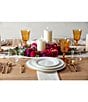 Fortessa Capri Brushed Gold 20-Piece Stainless Steel Flatware Set - Image 4