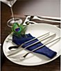Fortessa Dragonfly 5-Piece Stainless Steel Flatware Set - Image 4