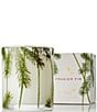 Thymes Frasier Fir Pine Needle Candle, 6.5oz - Image 1