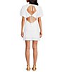 Color:White - Image 2 - Apricot Rose Eyelet Short Puff Sleeve Crew Neck Open Tiered Tie Back Detail Mini Dress
