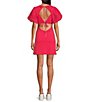 Color:Strawberry Spritz - Image 2 - Apricot Rose Eyelet Short Puff Sleeve Crew Neck Open Tiered Tie Back Detail Mini Dress