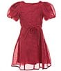 GB Big Girls Rose Belt Solid Dress - Image 1