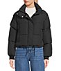 GB Collared Puffer Jacket, Color:Black - Image 3