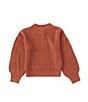 Color:Clay - Image 1 - Big Girls 7-16 Mock Neck Solid Sweater