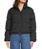 GB Pleated Collared Puffer Jacket, Color:Black - Image 3