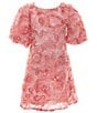 Color:Light Pink - Image 1 - Social Big Girls 7-16 Puff Short Sleeve Rosette Dress