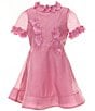 GB Social Big Girls 7-16 Short Sleeve Floral Applique Dress, Color:Pink - Image 1
