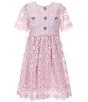 GB Social Big Girls Short Sleeve Floral Lace Dress, Color:Baby Pink - Image 1