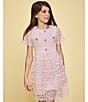 GB Social Big Girls Short Sleeve Floral Lace Dress, Color:Baby Pink - Image 4