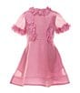GB Social Little Girls 2-6X Short Sleeve Floral Applique Dress, Color:Pink - Image 1
