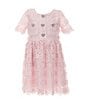 GB Social Little Girls Short Sleeve Floral Lace Dress, Color:Baby Pink - Image 1