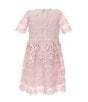 GB Social Little Girls Short Sleeve Floral Lace Dress, Color:Baby Pink - Image 2
