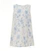 GB Social Little Girls 2-6X Sleeveless Trapeze Overlay Dress, Color:Ivory Blue - Image 1
