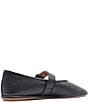 Gentle Souls Lunar Leather Mary Jane Ballet Flats - Image 3