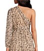 Color:Beige Tiger - Image 4 - Dalia Animal Print One Long Sleeve Asymmetrical Neck A-Line Crinkle Chiffon Maxi Dress