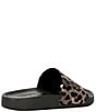 Gianni Bini undefined, 00000000_zi_f6dde9fe-4bef-4a24-801f-237864870392__01_ai - undefined