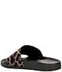 Gianni Bini undefined, 00000000_zi_f6dde9fe-4bef-4a24-801f-237864870392__02_ai - undefined