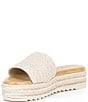 Gianni Bini Karsten Raffia Espadrille Platform Slide Sandals - Image 4