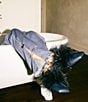 Gianni Bini x Hadley Greene Florence Leather Feather Square Toe Mules - Image 1