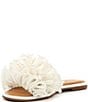 Gianni Bini undefined, 00000000_zi_95bfd229-02b8-441f-b174-53047391daa5__03_ai - undefined