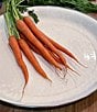 Golden Rabbit Enamelware Solid Texture Medium Tray - Image 3