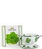 Color:Green - Image 1 - Enamelware Lettuce Colander Giftbox Set