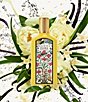 Gucci undefined, 00000000__20526338_02_ai - undefined