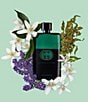 Gucci undefined, 00000000__20558154_02_ai - undefined