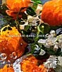 Guerlain Aqua Allegoria Mandarine Basilic Eau de Toilette Holiday 3-Piece Gift Set - Image 2