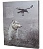 Hachette Group Wild Wonders Book - Image 2
