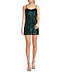 Color:Black/Green - Image 1 - Sequin Tassel Mesh Scoop Neck Mini Dress