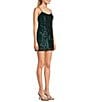 Color:Black/Green - Image 3 - Sequin Tassel Mesh Scoop Neck Mini Dress