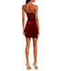 Color:Ruby Red - Image 2 - Sleeveless V-Neck Illusion-Inset Back Velour Asymmetrical Hem Sheath Dress