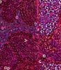 Color:Pink - Image 4 - Strapless Sequin Plunge V-Neck Mini Dress