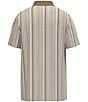 Hooey Weekender Stripe Printed Short Sleeve Polo Shirt - Image 2
