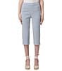 HUE Spring Stripe Pedal Pusher Capri Leggings, Color:Blue Stripe - Image 1