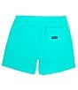 Color:Fiji - Image 2 - Icon One & Only Solid 17#double; Outseam Volley Shorts