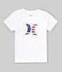 Color:White - Image 1 - Little Boys 2T-7 Short Sleeve Icon American Flag Fill UPF Graphic T-Shirt